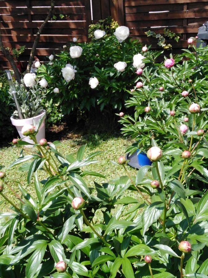 Ferienwohnung Mit Kleinem Garten Sonnenbühl Buitenkant foto