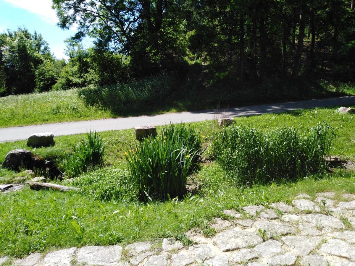 Ferienwohnung Mit Kleinem Garten Sonnenbühl Buitenkant foto