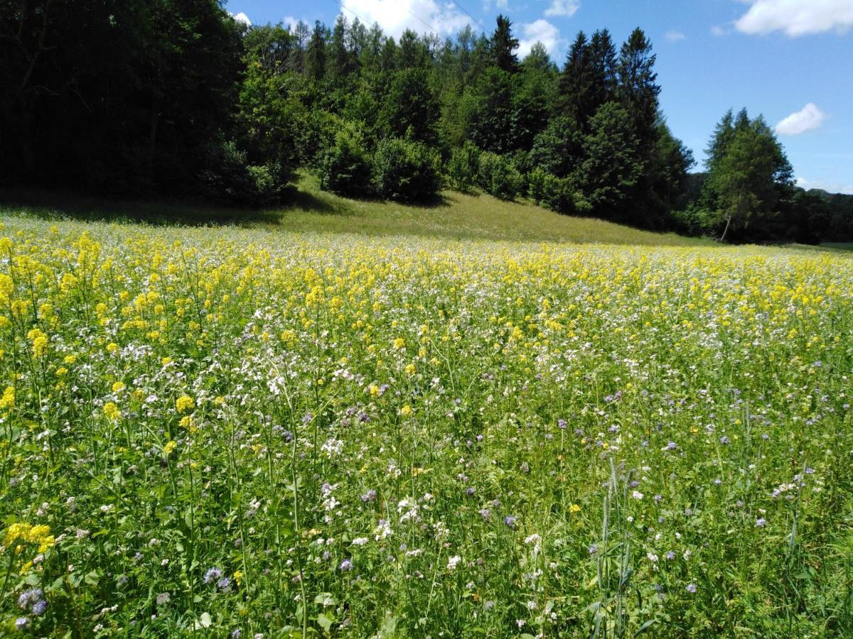 Ferienwohnung Mit Kleinem Garten Sonnenbühl Buitenkant foto
